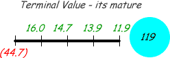 Terminal value, when the project is mature